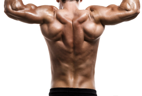 Men-Back-&-Shoulders